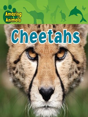 cover image of Cheetahs